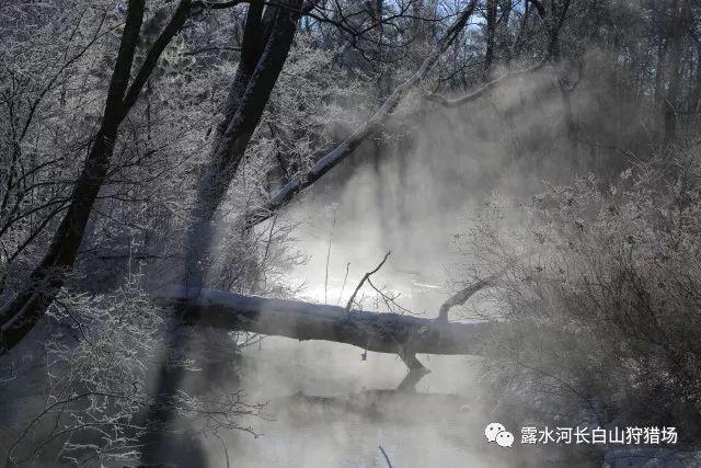 开放式小厨房如何低成本装修空间显大巨能装？