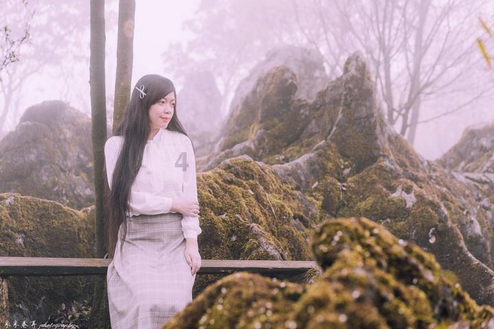 月季适合什么季节修剪？